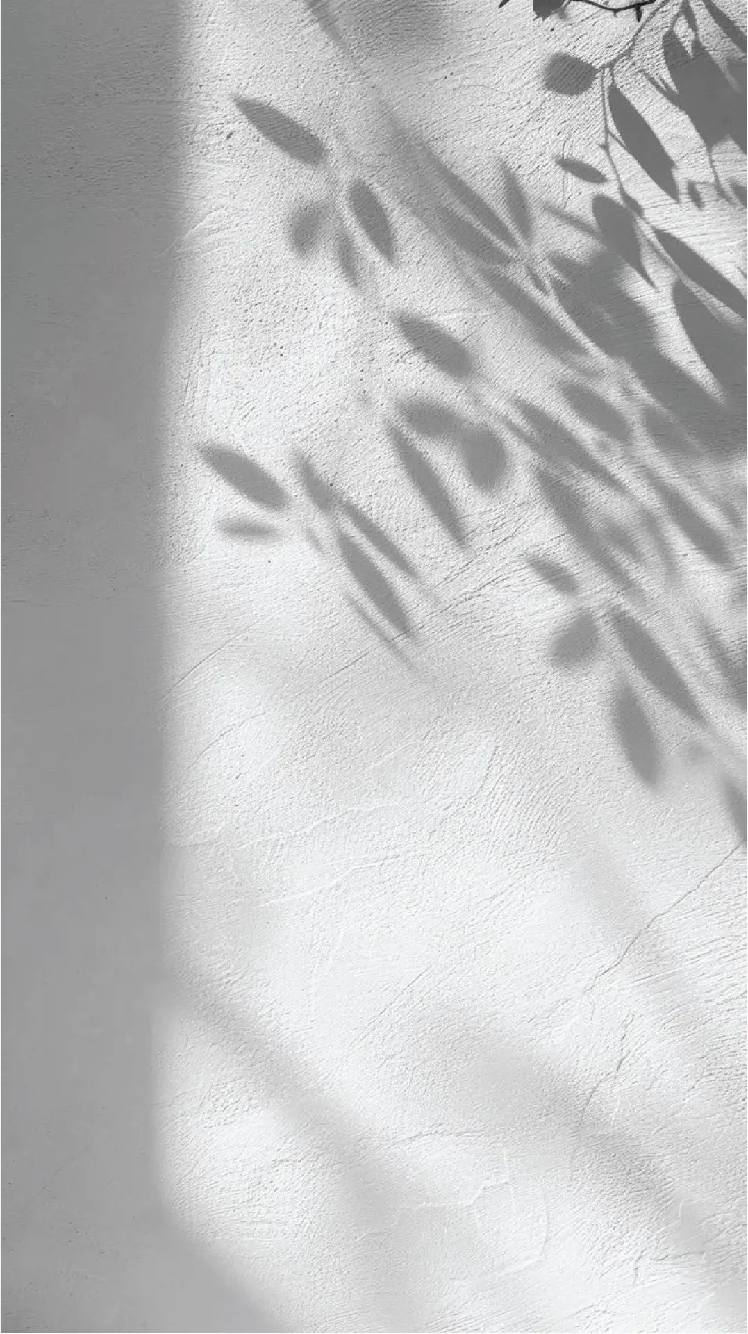 Philosophy Shadow